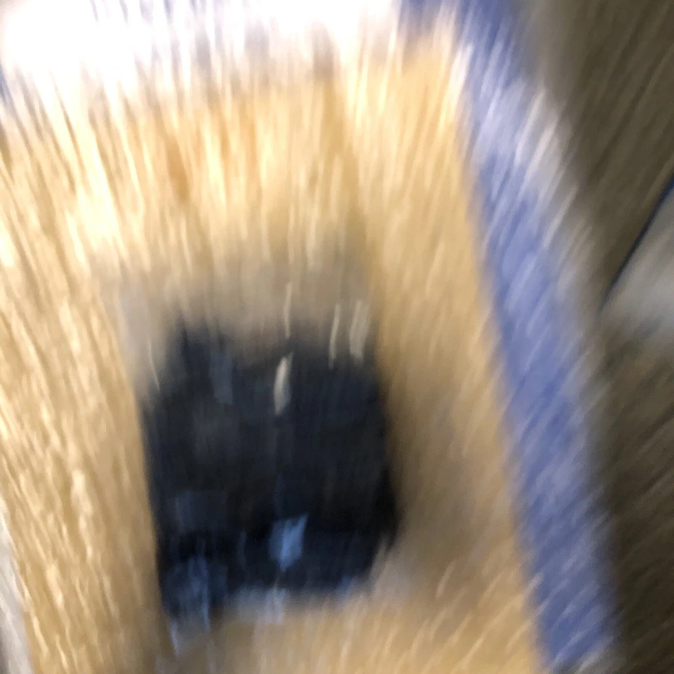 86-1100D EMPI CV Joint Boot For Volkswagen EuroVan 99-04 Front Inner F+S! - Image 4 of 4