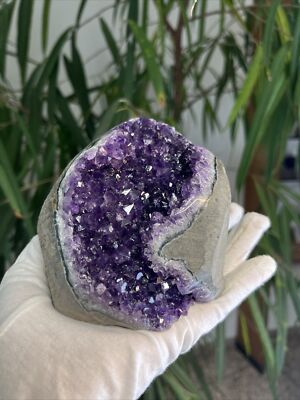 Hochqualitative Amethyst Druse AP33, 0,95 Kg