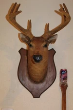 Vtg Velvet Whitetail Deer Head Shoulder Mount Taxidermy Cape Antler Hunt Mule