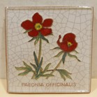 Karlsruher Majolika Wandkachel Fliese Wandbild Paeonia Officinalis 13,5x 13,5cm