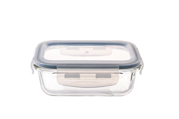 Domoletti Lebensmittelbox 0,65 L Rechteckig Borosilikatglas Silikon PP-image