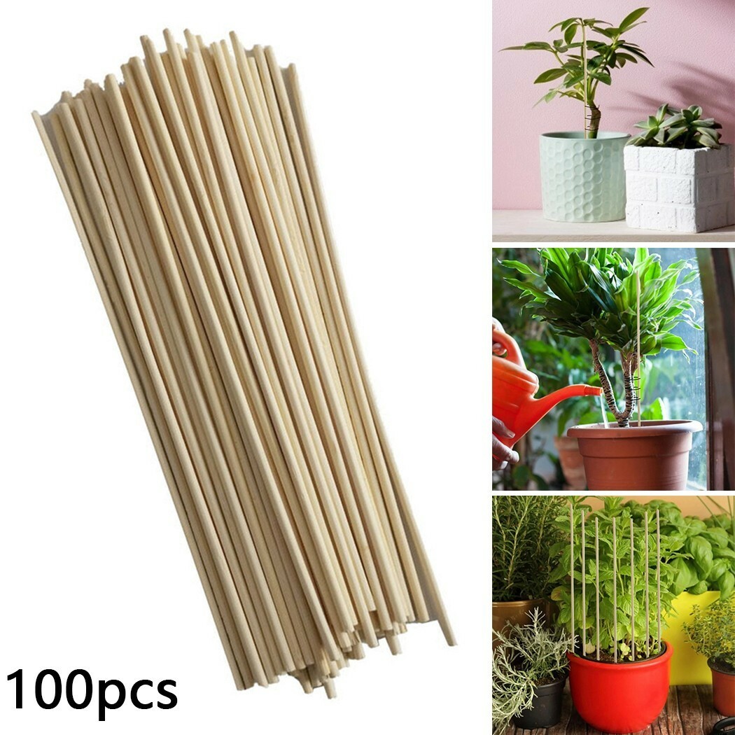 100x Bambus Stcke Spalier Pfhle Set For Garten Pflanzen Sttze Tomaten  Erbsen | eBay.de
