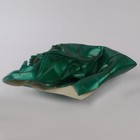 Foto 12 di 12