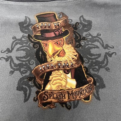 RARE Disney Splash Mountain 