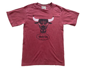 Chicago Bulls T-Shirt "Windy City" Hardwood Classics Brand Size Small