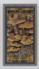 2021 Topps Allen & Ginter Chrome Mini World's Largest Honey Fungus #MWL-19 1dd7