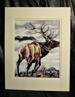 Matted Print: Bugle Boy of Box Elder Canyon by Bob Peterson