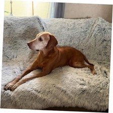 Dog Blanket for Medium Large Dogs, 60"x50" Large Pet Blankets 60" x 50" Grey