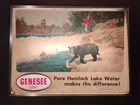Vintage Rare Genesee Beer Lighted Sign Outdoor Theme 20" x 15"- Read Description