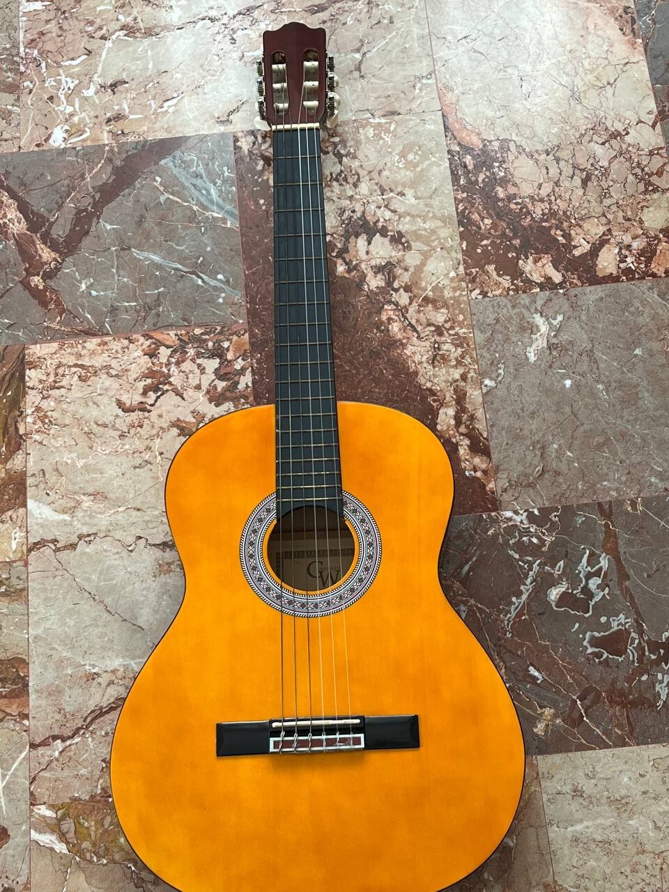 Chitarra Greenwich + Custodia + Plettro MAI USATA