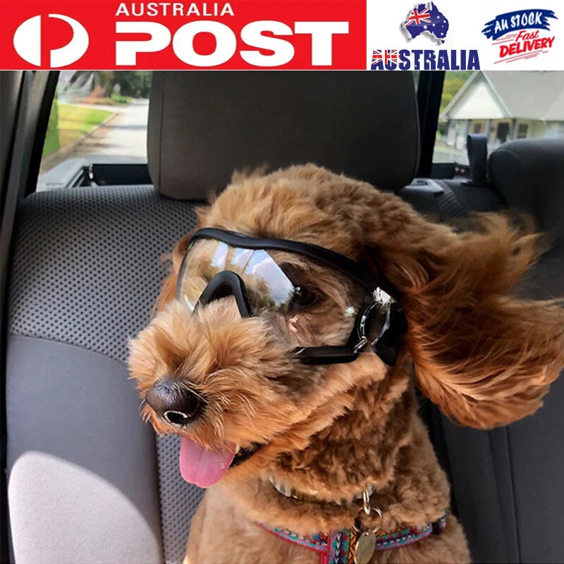 Dog car goggles hotsell