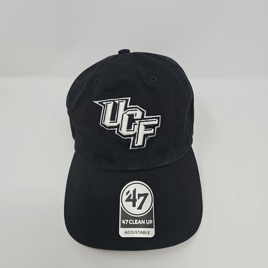 Picture 1 of 17