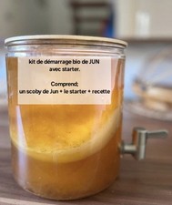 Scoby/Mère De Jun Active Bio + Starter De Démarrage Probiotiques Prébiotiques.