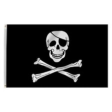 3x5 Ft Jolly Roger Pirate Skull and Crossbones Polyester Flag with Brass Grom...