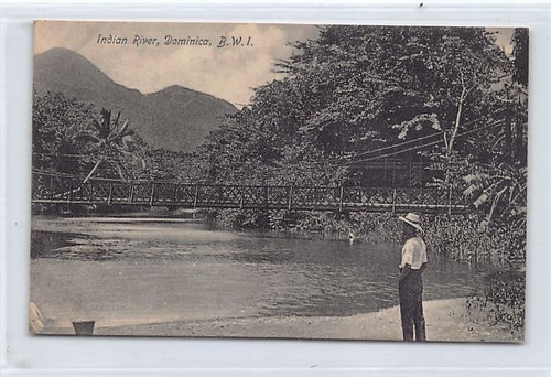 DOMINICA - Indian River - Publ. J. R. H. Bridgewater - Bild 1 von 2
