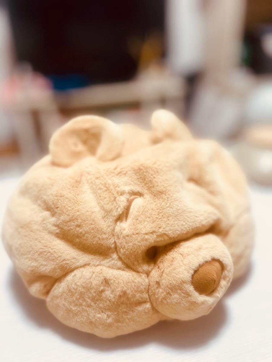 Japan Tokyo Disney Resort Ears Pooh limited Fluffy Cap Hat  display picture 1