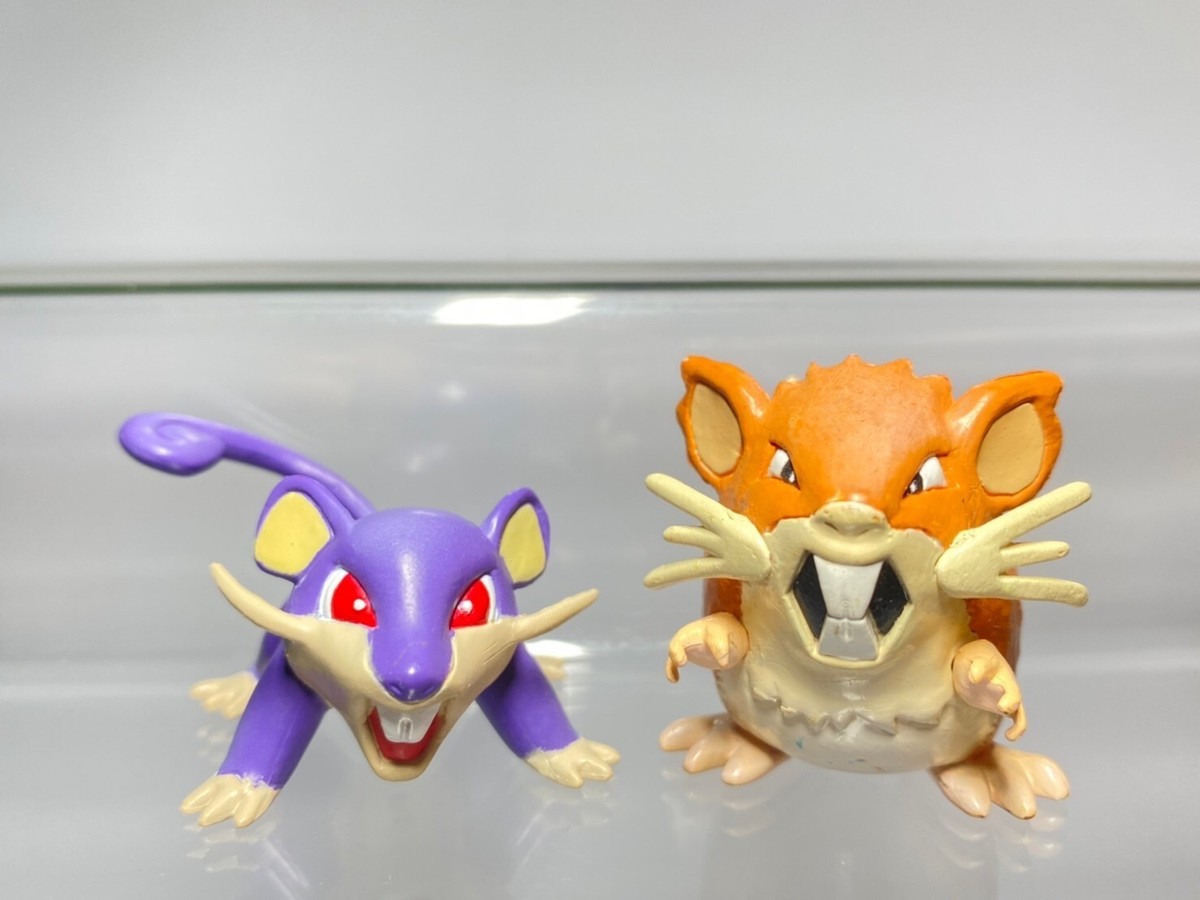 Pokemon Raticate Evolution