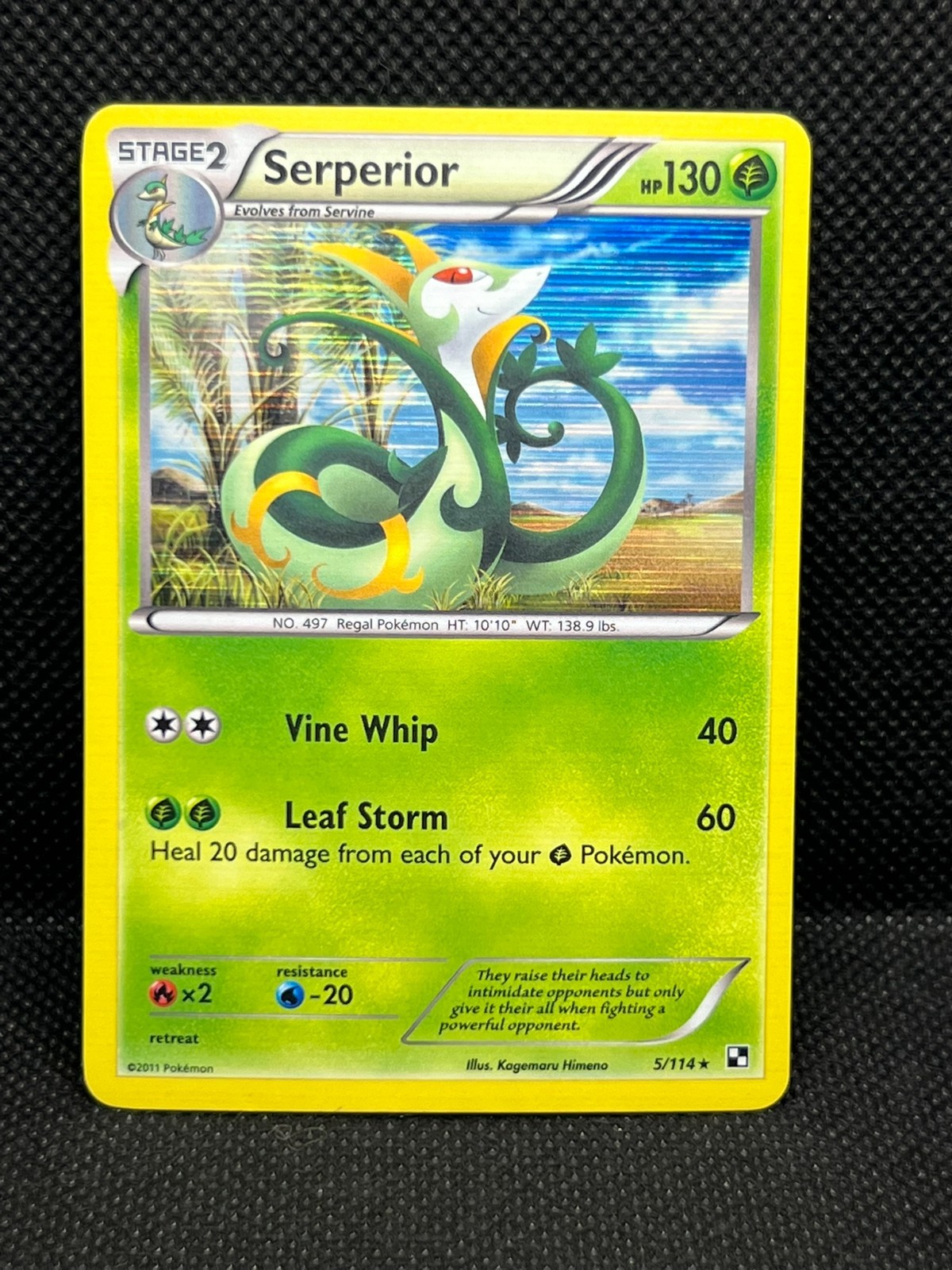 Pokémon Tcg Serperior 5/114 Black & White Holo