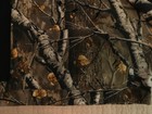 Bild 7 von 11