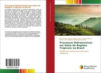 Processos Hidroerosivos Em Solos De RegiõEs Tropicais No Brasil Ana ValéRia Frei