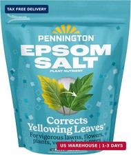 Pennington 397606 Epsom Salt Plant Nutrient, 7 lb