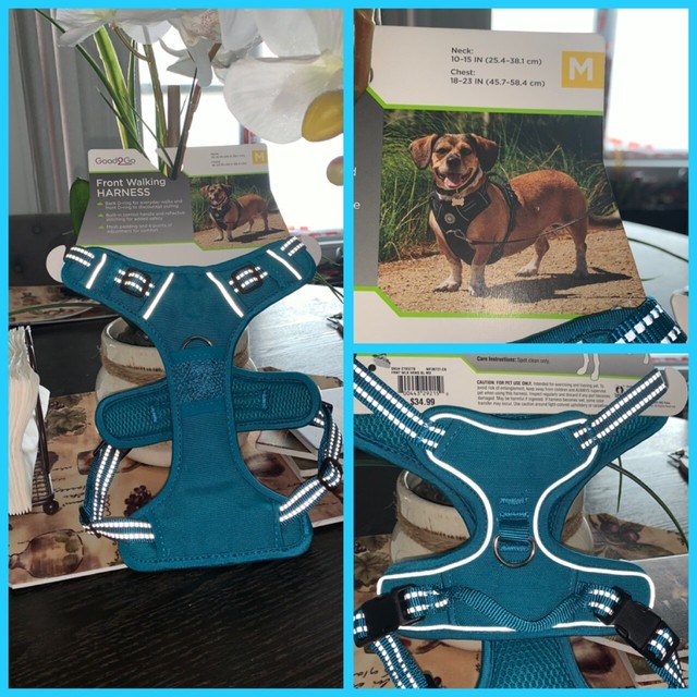 front walking harness