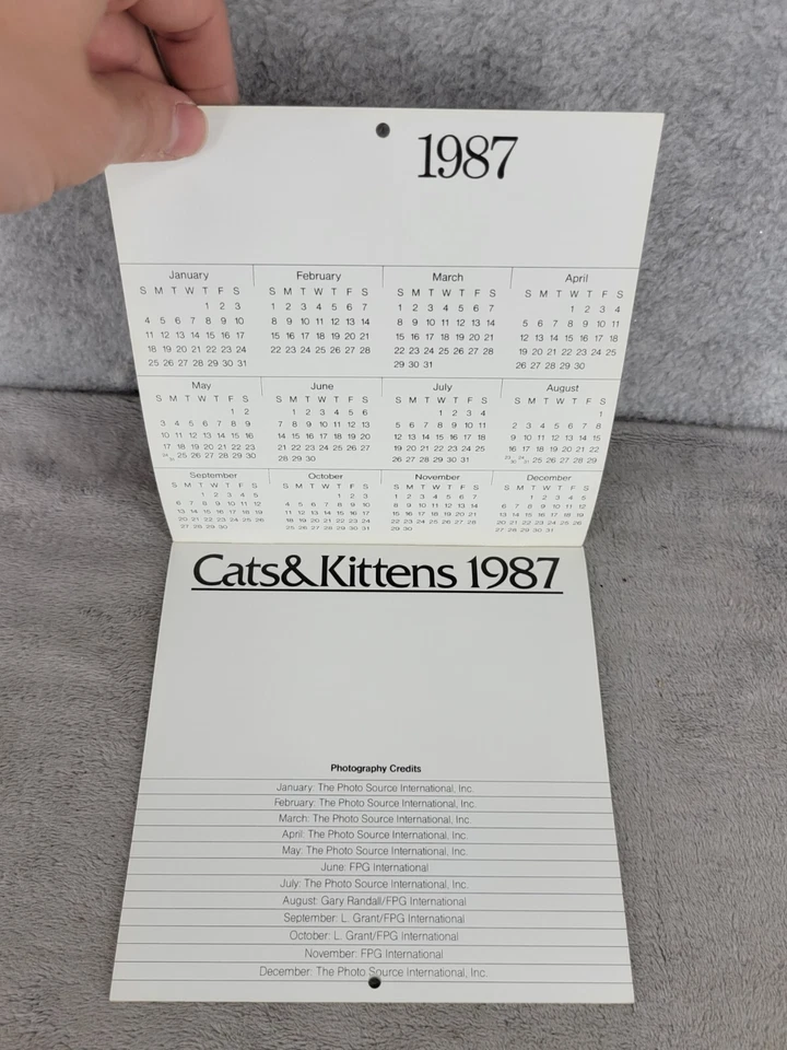 Mini calendario vintage 1987 gatos y gatitos prensa prado largo arte de gato coleccionable Foto 2 de 4
