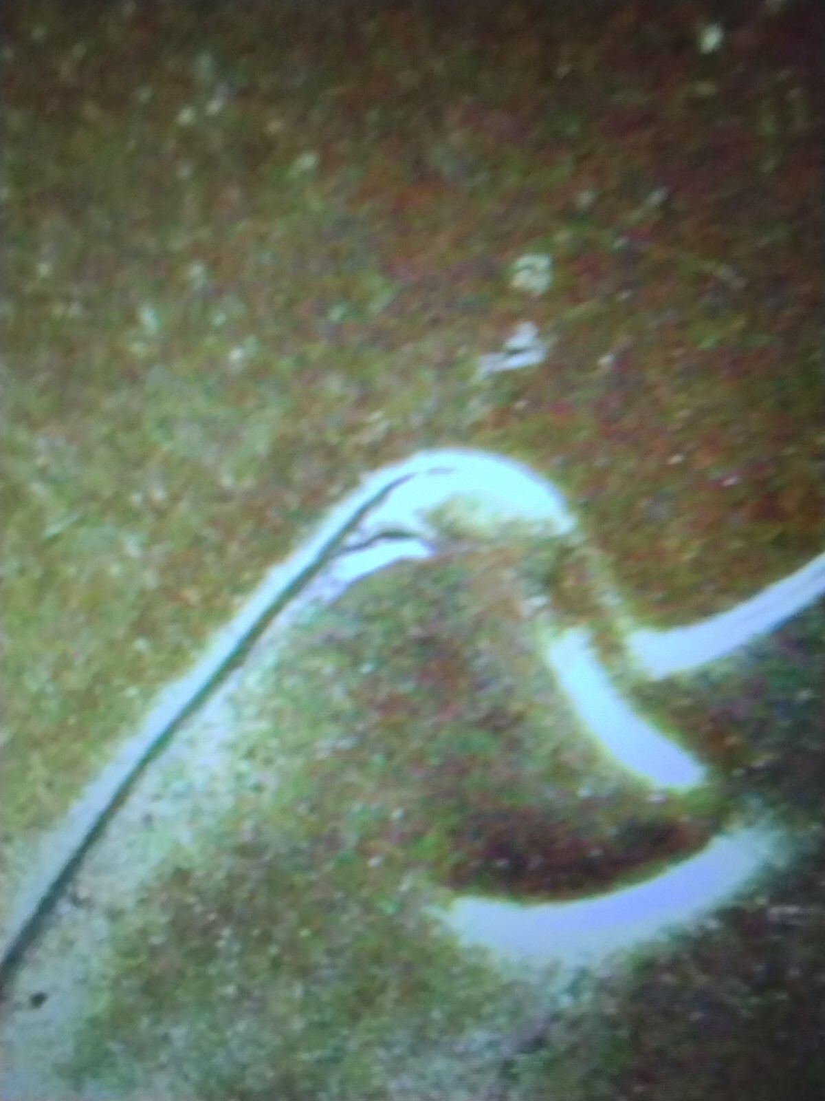 Picture 4 of 9