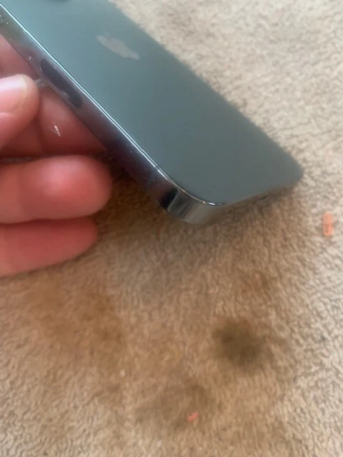 OEM Apple iPhone 13 Pro Cubierta Trasera Cristal Carcasa Gris (C) Foto 4 de 4