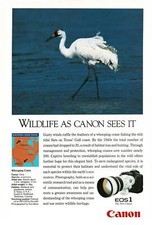 1990 Canon EOS 1 Camera Whooping Crane Vintage Print Ad