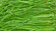 120 SEEDS LIGHT GREEN LONG/STRING BEAN/ASPARAGUS BEAN FRESH SEASON,USA