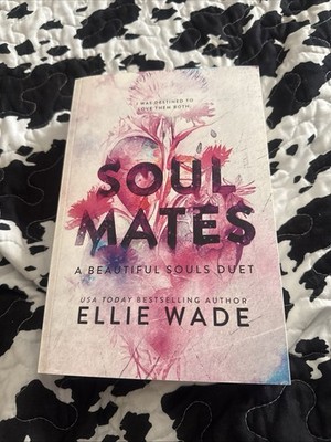 Soul Mates: A Beautiful Souls Duet by Ellie Wade