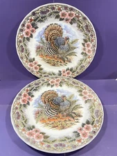 PAIR Myott Churchill Thanksgiving Turkey Dinner Plate with Bird & Flowers 10”