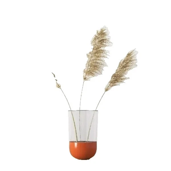 Jarrones de Vidrio Moderno de mediados de siglo