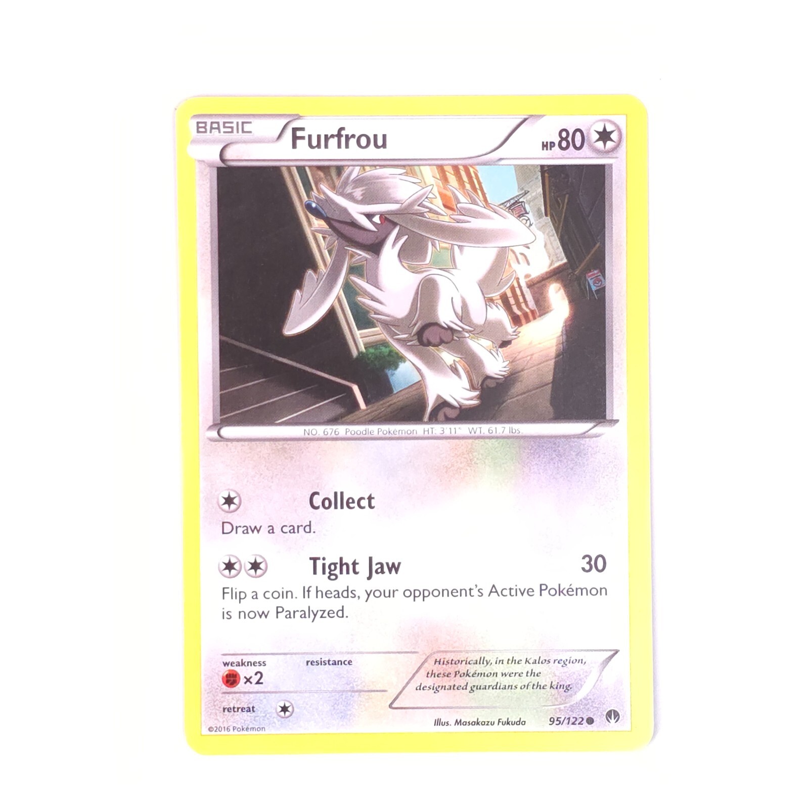Furfrou 95/122 Pokemon XY - BREAKpoint Common NM