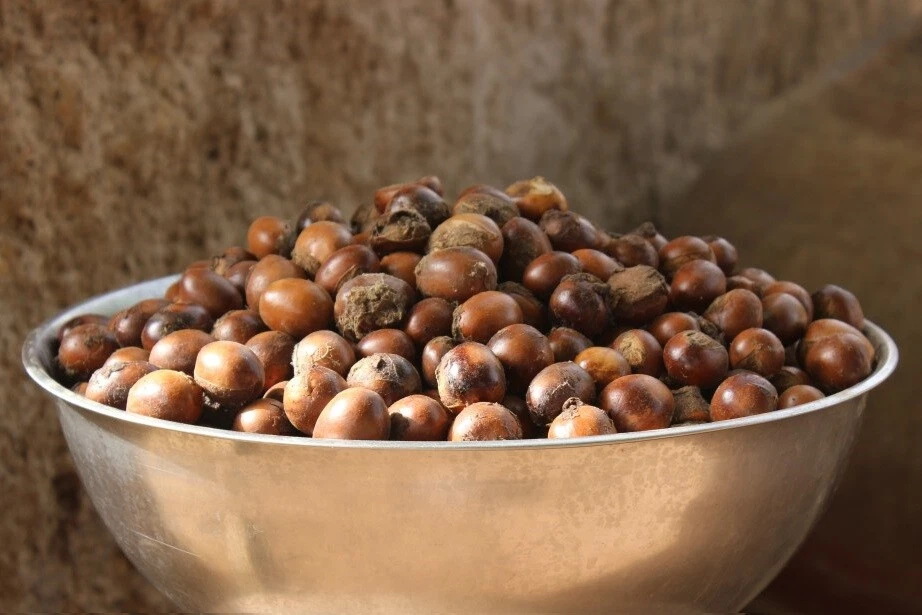 Shea Butter Organic Unrefined From Ghana 100% Pure Raw Natural Nut Free Beeswax! - image 4 of 4