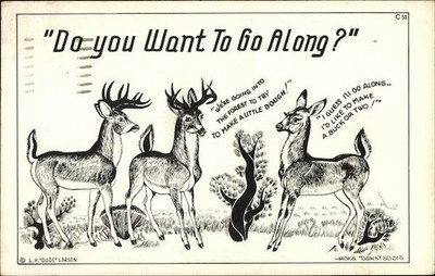 Deer ''Do You Want Go Along?'' 1950 Amarillo, TX Chrome Original Vintage Postcard