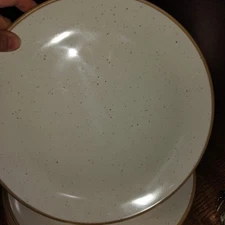 6 Pc Shabby Chic Plates Melamine Speckled Ivory Beige Neutral Thick Sturdy 11" 