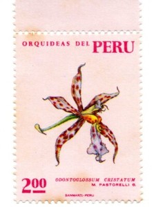 Orchids: Peruvian Flora ODONTOGLOSSUM CRISTASUM, S/. 2, Perú 1971, accept offers