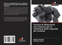 Maham Hussain (U. A.) | Tecnica Di Flottazione Con Schiuma Per La Rimozione...