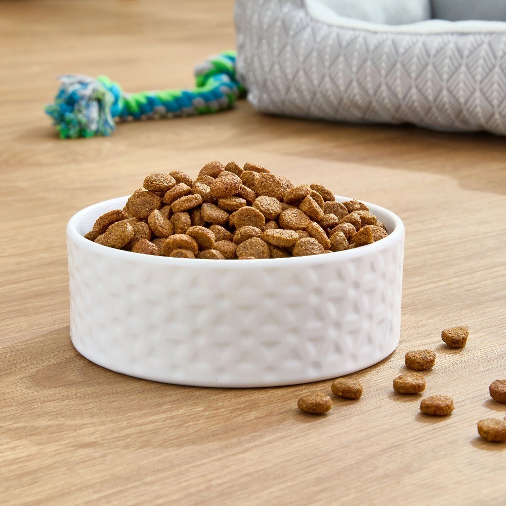 Grain-Free Salmon & Pea Recipe Dry Dog Food, All-Natural Formula for Adult Dogs,