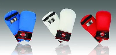 KANKU Karate Punching Gloves Mitts, Martial Arts, Taekwondo, Boxing, MMA