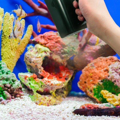 Kies Sieb Aquarium Kies Sand Aquarium Reinigung Werkzeug Zubehör Terrarium Sand - Bild 12 von 12