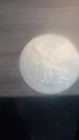 Liberty Walking Half Dollar Coin 50C Silver Uncertified Liberty Walking 50 Cent