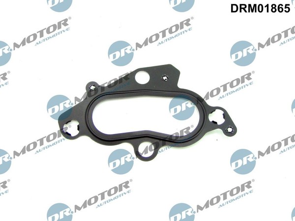 NEU - Dr.Motor Automotive DRM01865 Dichtung, KüHlmittelflansch FüR Ford Mazda-image