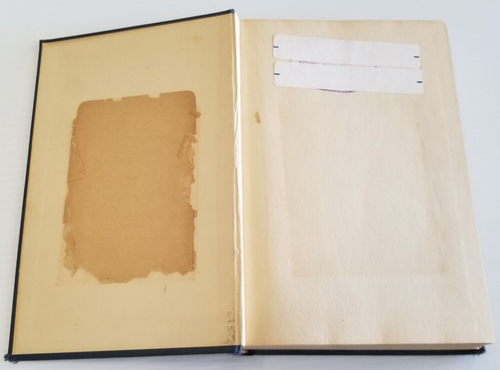 Problems In American Democracy By Williamson 1922 DC Heath & Co  Ex Library - Picture 8 of 13