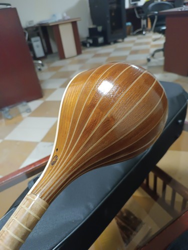 Setar profesional de alta calidad, Sehtar,Sitar con estuche rígido - Imagen 7 de 7