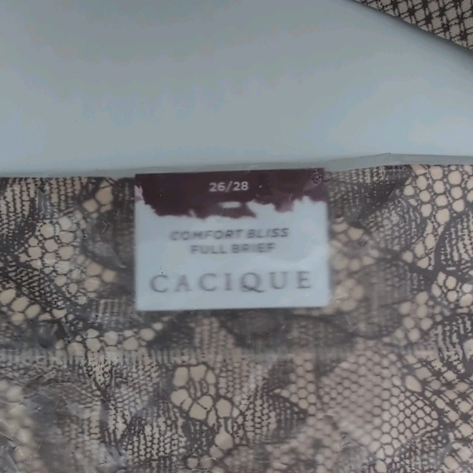 Lane Bryant Bra and Panties Set in size 44DD and size 26/28 - Full Coverage  - Image 3 of 4