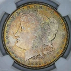 1885__MS 64__Morgan Silver Dollar__OBV & REV TONED__NGC, Unc Coin