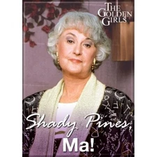 ATA-BOY THE GOLDEN GIRLS SHADY PINES MA!  MAGNET NEW